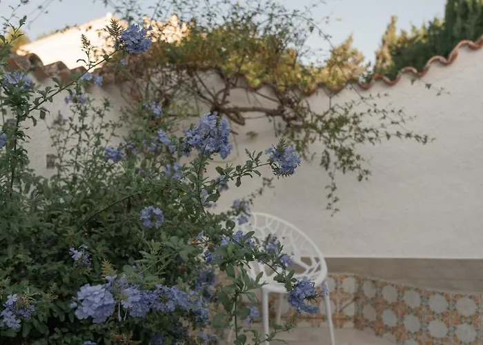 Coco - Coliving & Coworking Costa Blanca לינה וארוחת בוקר *
