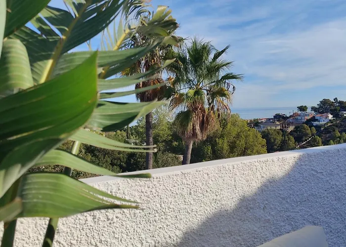 Coco - Coliving & Coworking Costa Blanca לינה וארוחת בוקר דניה