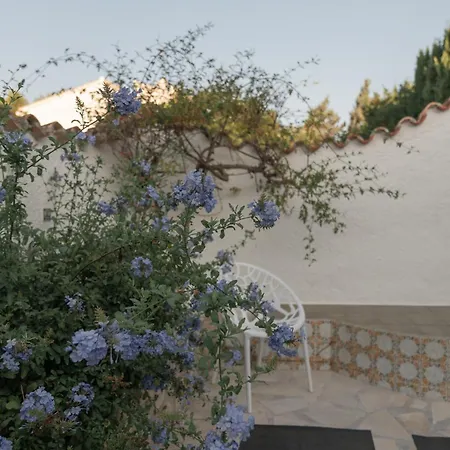 Coco - Coliving & Coworking Costa Blanca Panzió *